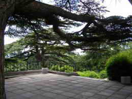 Санаторий матери и ребенка Ясная Поляна. Территория, парк