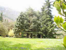 Санаторий Крым, Партенит парк