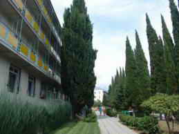 ТОК Чайка, Алушта, Крым