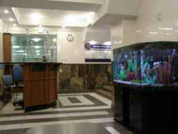 Санаторий Мраморный дворец Лечебный корпус холл фото