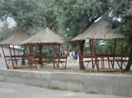 Звездный Берег, Крым, Орловка