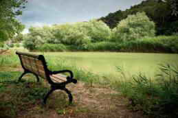 Санаторий Черноморец, Крым, территория фото