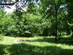 Санаторий матери и ребенка Ясная Поляна. Территория, парк