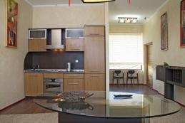    Гостиничный комплекс Веселый Хотэй Пентхаус кухня