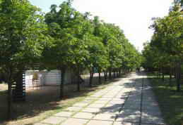 Пансионат Изумруд, Николаевка, Крым Парк фото