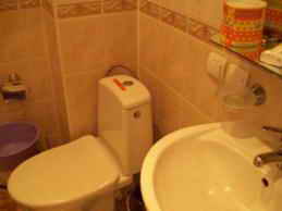 Санаторий Перлина Прикарпаття 1-комнатный 2-местный Улучшенный санузел фото