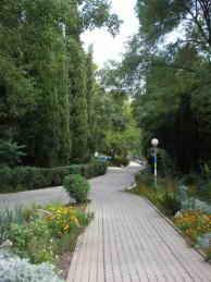 Санаторий Пограничник. Территория