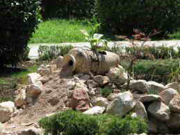 Санаторий Золотой Колос территория фото