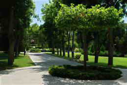 Санаторий Черноморец, Крым, территория фото