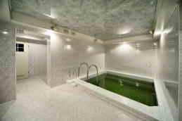 Санаторий Аркада сауна фото