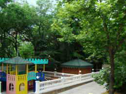 Времена года, Ялта, Крым. Детская площадка