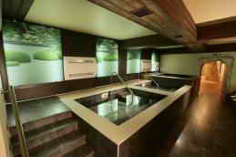 VIP отель Респект Холл. Японская баня