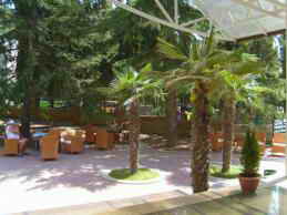 Парк-отель Porto Mare территория фото