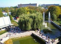 Санаторий Миргород, Парк