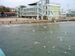 Евпаторийский детский клинический санаторий МО, Крым, Евпатория, вид с моря фото